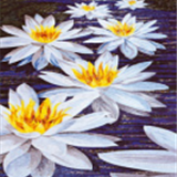 Mosaic Collage