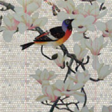 Mosaic Collage