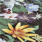 Mosaic collage CO075