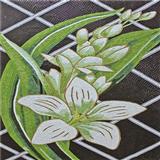 Mosaic collage CO207