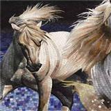 Mosaic collage CO250