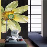 Mosaic collage CO273