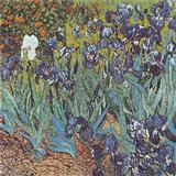 Mosaic collage CO276
